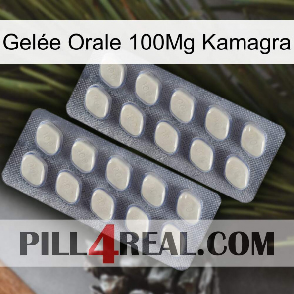 Gelée Orale 100Mg Kamagra 07